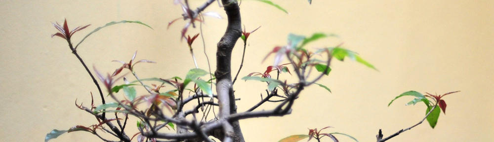 Optica en Envigado | 333 282 7961 | Opticas Envigado